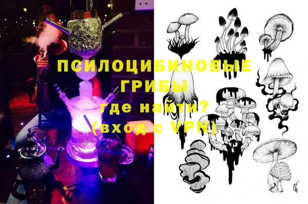 СК Тихвин
