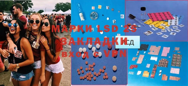 трава Коряжма