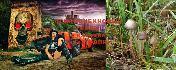 СК Тихвин