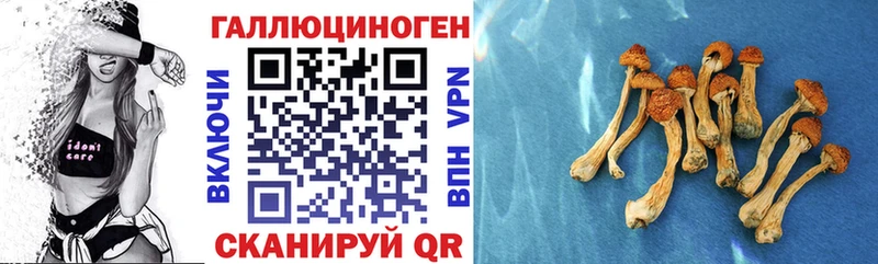 Псилоцибиновые грибы GOLDEN TEACHER Циолковский